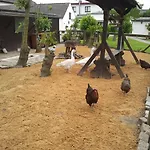 Hotel Familien- Und Strandhof 3*