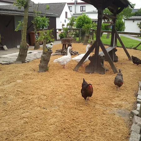 Отель Familien- Und Strandhof 3*